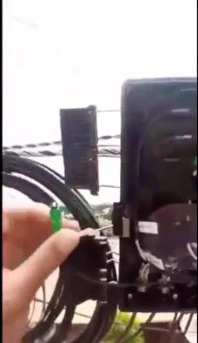 Connection lost - whale cries