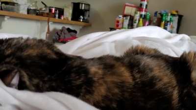 My baby and her mini meows 😍