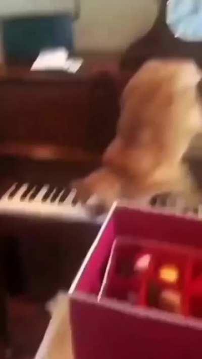 А хорошо получилось...