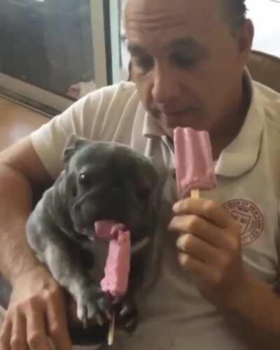 A man eating an ice pop with a dog.