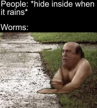 Thanks, I Hate Worms