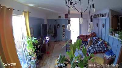 Sad howls when her humans go on a trip. Like clockwork 5 minutes after we leave she howls.