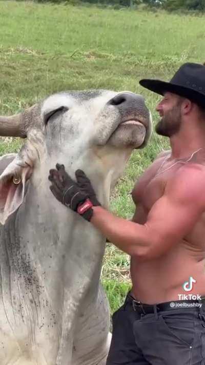 Taurus and who Part 2.