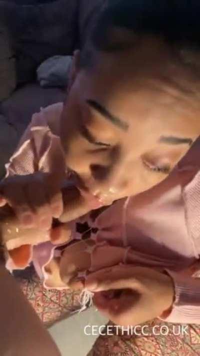 🛩 🛩 🛩 🛩 🛩