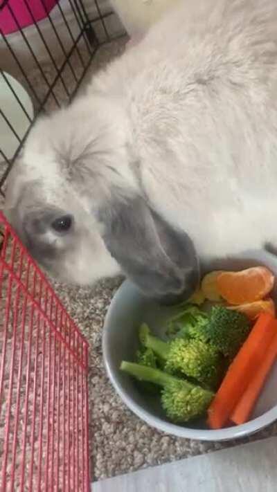 Carrot with her vegetables & fruit