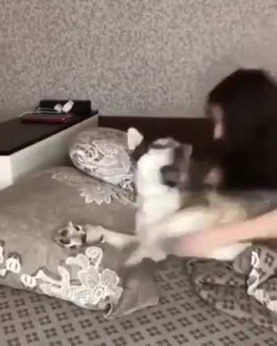 “STOP HUGGING ME!” *stops hugging* “Why did you stop hugging?”