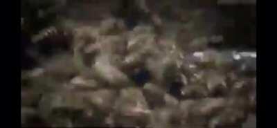 8 kuzenim yıllardır görmedikleri beni görüyorlar