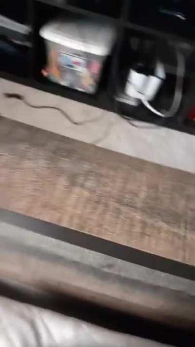 Stupid fucking burger man stop drawing