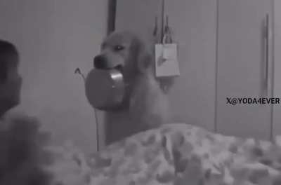 Either give me food or be scared to death