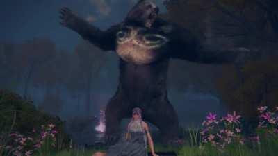 Rune Bears are Adorable when they Sleep!