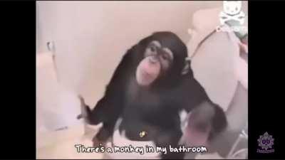 monke. (credits to doodlemax)