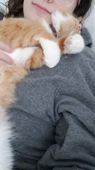 Smol cuddly biscuits