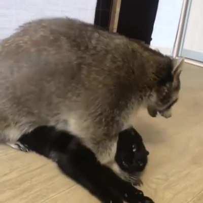 Come here my child, let me inspect you