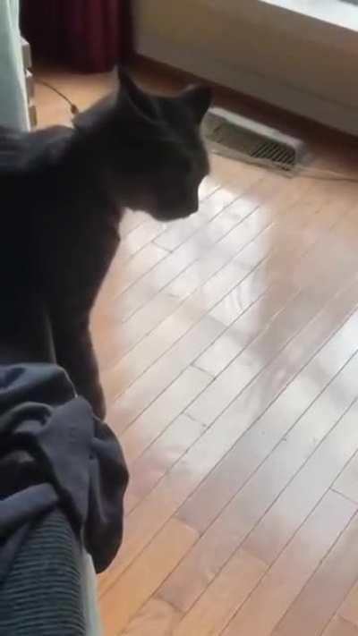 Sink into the cushions