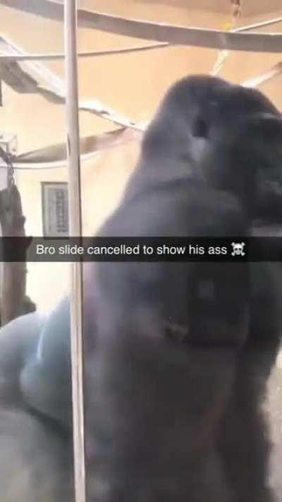 My homie really said 🍑