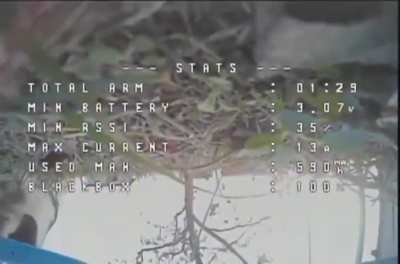 Fpv drone intercepted by Cat