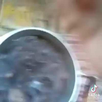 nham nham feijãozinho