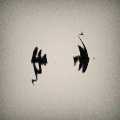 [A] Ripples in a Pond