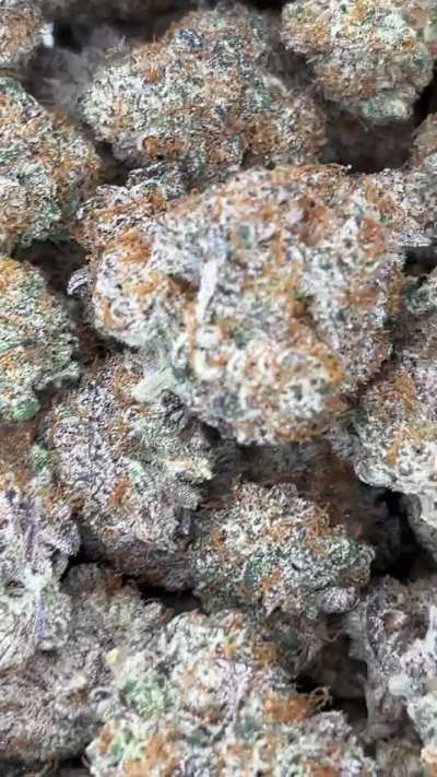 Did not realize it lets me post videos so better view of the orange cookies