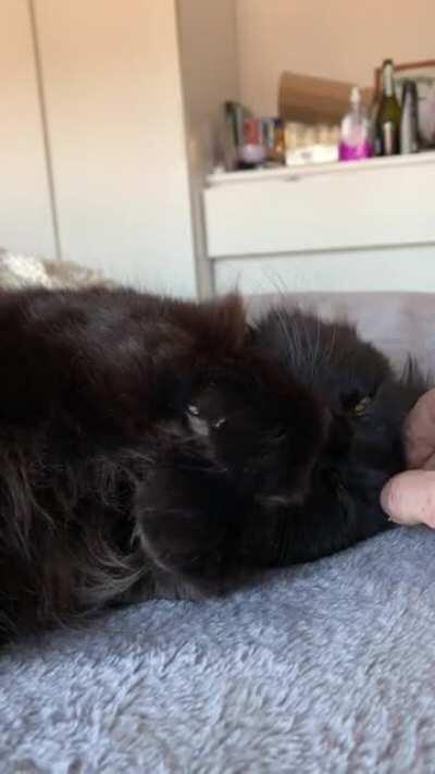 Theo is so sweet when I get home from work