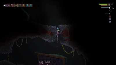 When I think something good is about to happen but I remember I'm playing Noita