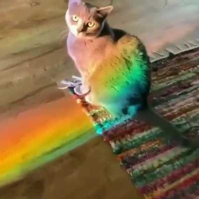 What the hell did I just made?