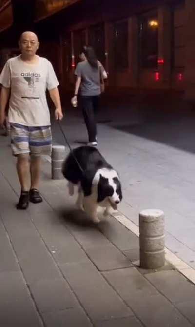 Make your own obstacle course