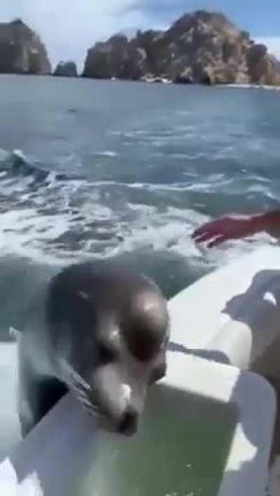 This Man was feeding birds before this happened...