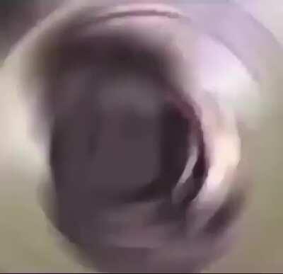 Edit merda como sempre