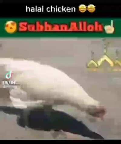 halal chicken حلال