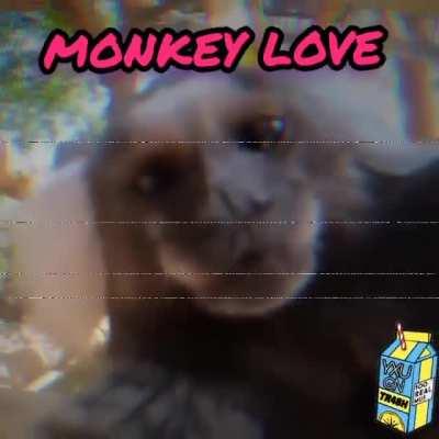 Monkey Love