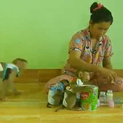 Есть хотим!