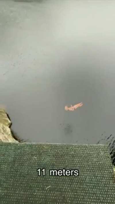 Please look at the new rules before posting