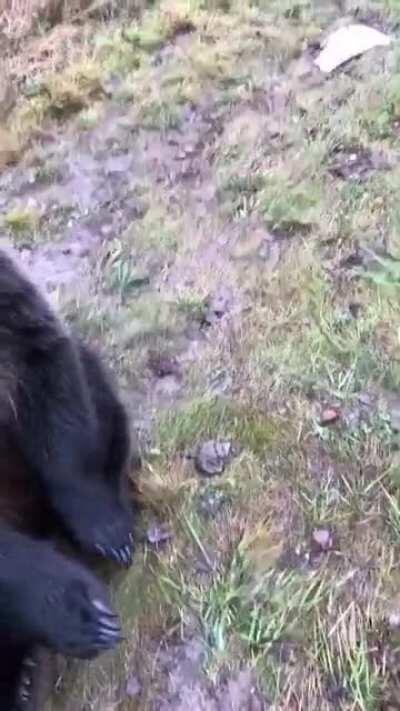 I can see so many ways this can go wrong