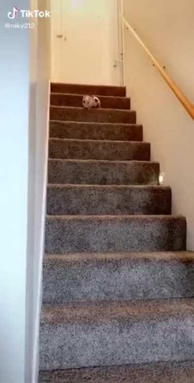 This is against all odds, but take a look at it now