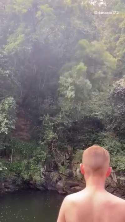 Jumping off a cliff into a tree?