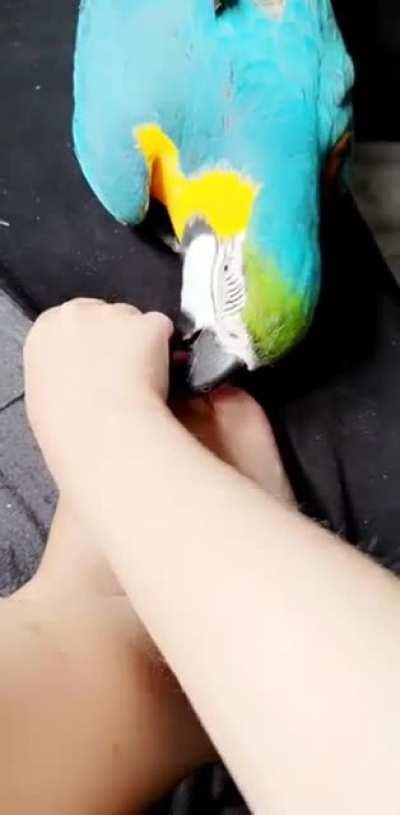 Vincent has suddenly taken an interest in feet....I hate feet....