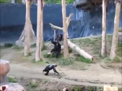 Live footage of Yasuo and Talon in mid lane