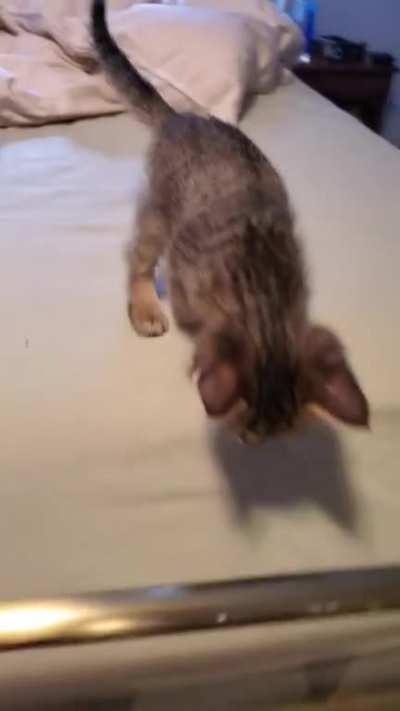 An old video of my kitten! (Yes I know my room was a mess)