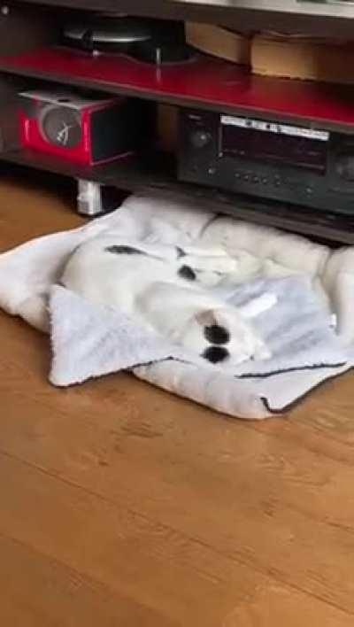 Clearly not the first time this has happened