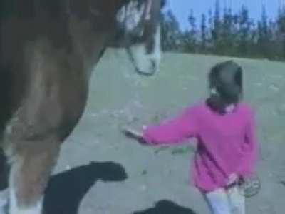Don't mess with horses...