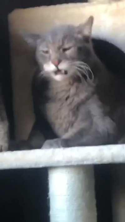 The face of absolute regret