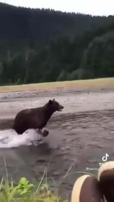 How’d they stay so calm? 😂💭