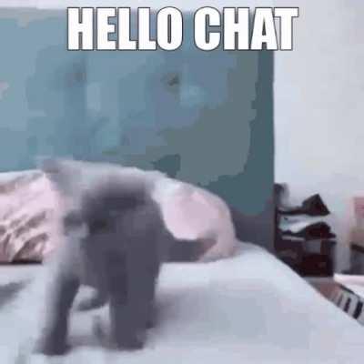 hello chat