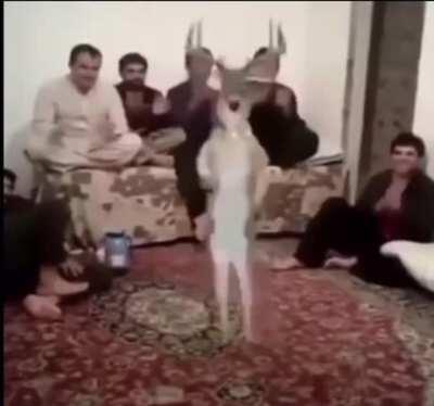 Que p o h a é essa??