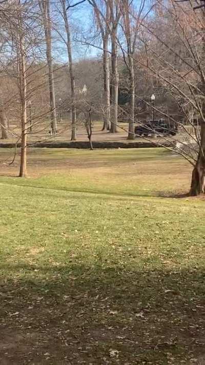 Refused to let DPW truck pass in the park for a solid 10 minutes