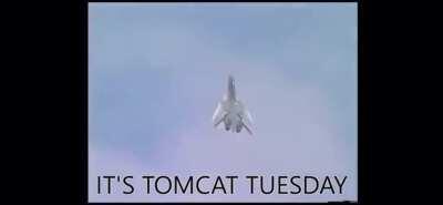 IT IS TOMCAT TUSDAY FOLKS! God help us