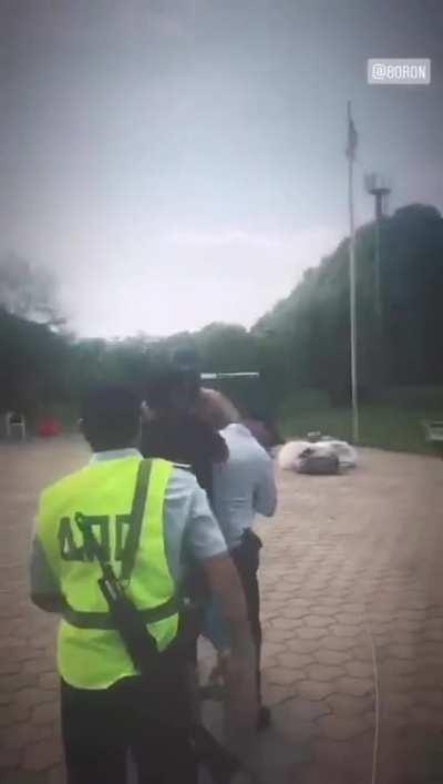 Это вот что было?