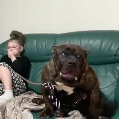 This little girl with her dog