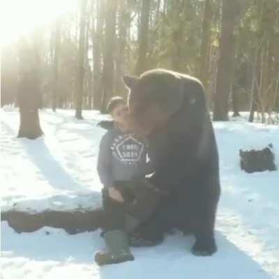 A friendly bear